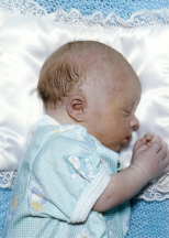 member profile