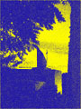member profile