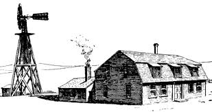 member profile